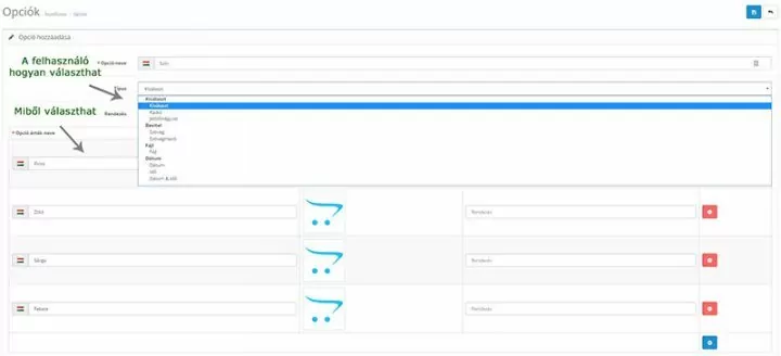 Opencart oktatóanyag: Opciók 2 opció kitöltése