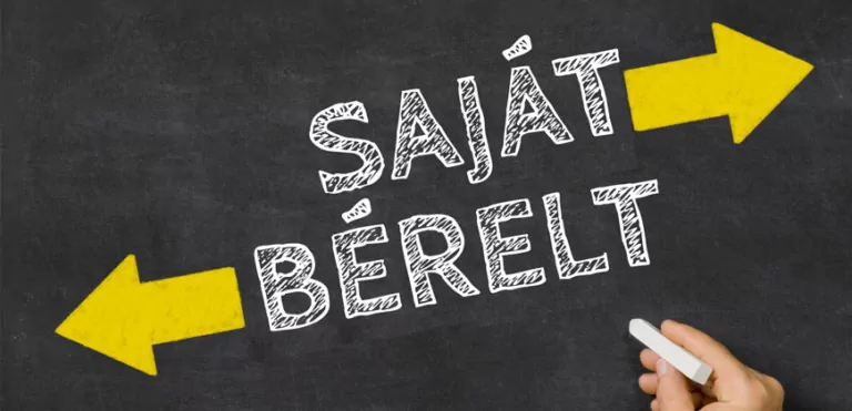 Webáruház: jobb a saját mint a bérelt? 8 webáruház bérelt vagy saját